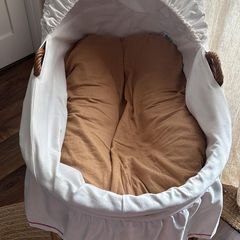 Moses Basket Vitege