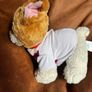 build a bear puppy Image 2