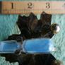 Vintage Hourglass Mounted On a Brass Oak Leaf Image 10