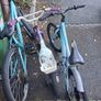 Bikes free Image 3