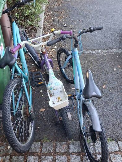 Bikes free