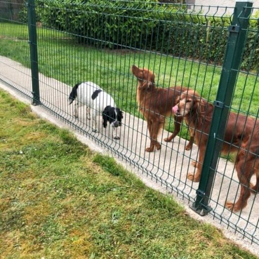 Industrial V Mesh Fencing / Twin Wire Fencing / Do