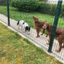 Industrial V Mesh Fencing / Twin Wire Fencing / Do Image 3