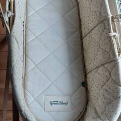 Moses Basket