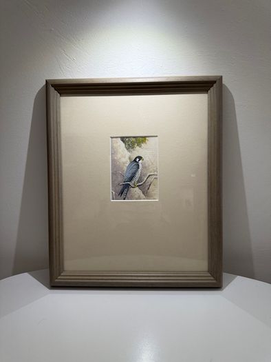 Original Michael Benington Acrylic (Peregrine Falcon)