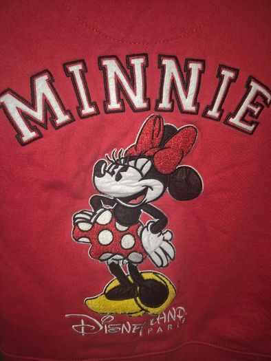 Disneyland paris mini hoodie