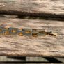 18k rolled gold link chain bracelet Image 7