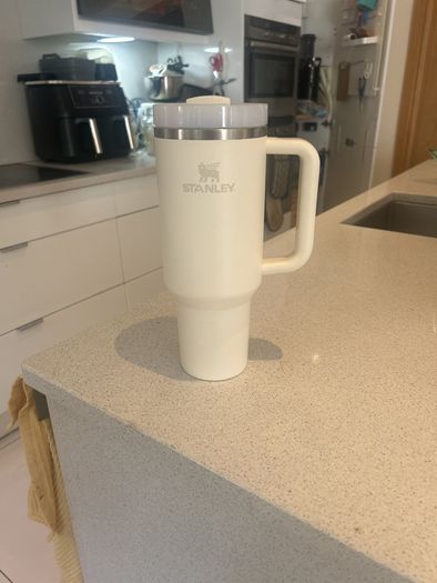 Stanley Tumbler (barely used)