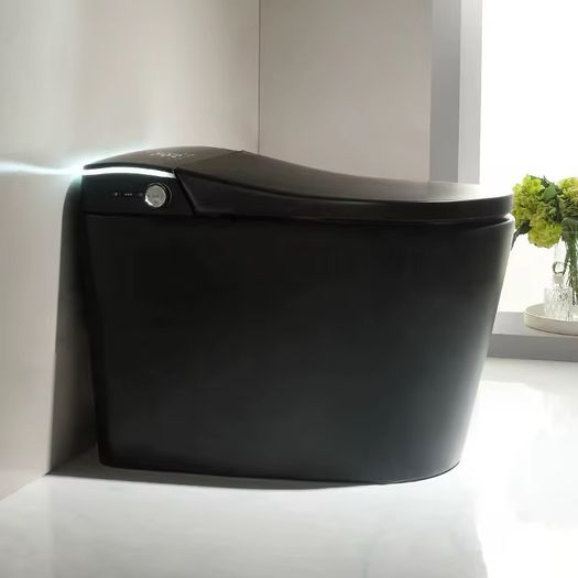 Smart Toilet all in one WC Toilet Bidet