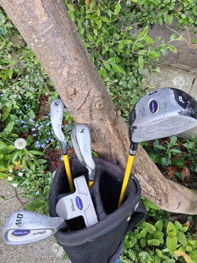 Golf Clubs. Junior Set Of Colt Golf For Age 8 To 10 Year Old. Collect In Dublin Or Receive Via Post.