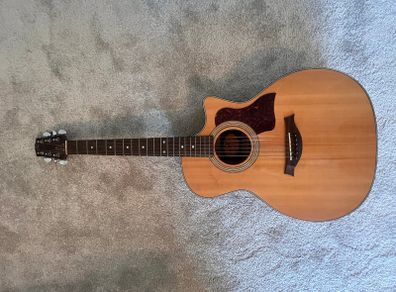 SX Electro-Acoustic Guitar