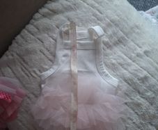 Dog dress