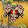 2 Robins in a heart Suncatcher Image 4
