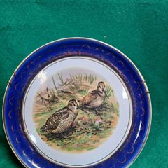 Arklow Plate