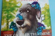cd new Audio books RoddyDoyle