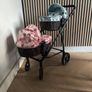Lily & Ivy dolls pram Image 2