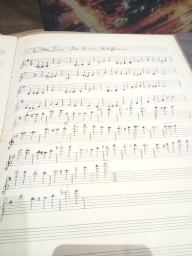manuscript of Lily Bodie Dublin 1920