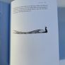 As kingfishers catch fire - book about birds Image 6