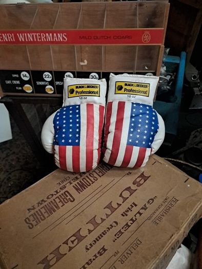 Vintage 10oz Boxing Gloves
