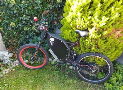 E bike