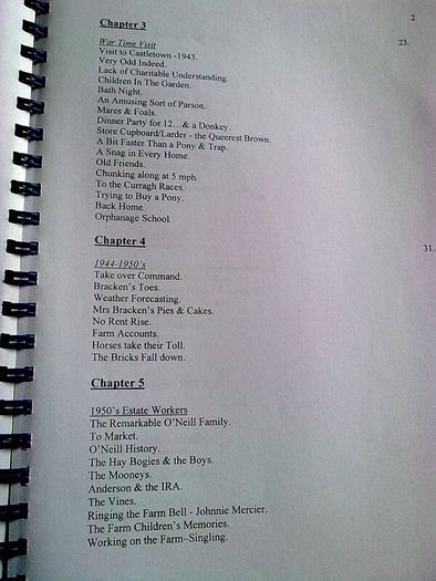 Typescript of a book on Castletown House Ireland Irish history Co. Kildare