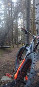 mountain bike cube