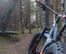 mountain bike cube