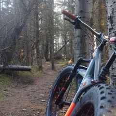 mountain bike cube