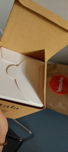 2 New Gaia Plug-In Pendants by Tala with Dimmible Light bulbs