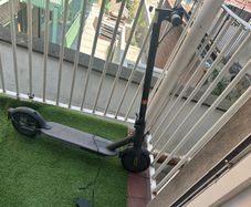 Free Electric Scooter