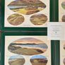 Six Vintage Irish Golfing Greats by Pimpernel Place Mats with Tips from Christy O Connor Senior Image 5