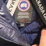 canada goose Image 4