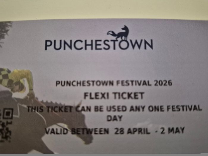 Punchestown Racing Festival 4 x Flexi Tickets