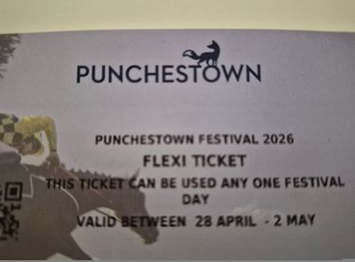 Punchestown Racing Festival 4 x Flexi Tickets