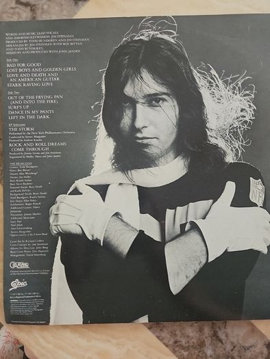Jim Steinman LP (Irish) - Bad For Good
