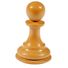 pawn9879
