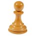 pawn9879