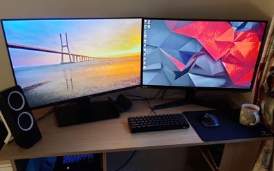 Two 27" Monitors & Dual Monitor Arm