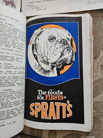 Catalogues Of The 10th & 11th Irish Kennel Club Shows 1931-32. Plus To Stud Cards For Dogs. Paperbacks In Only Fair Condition.  See Photos For Same.