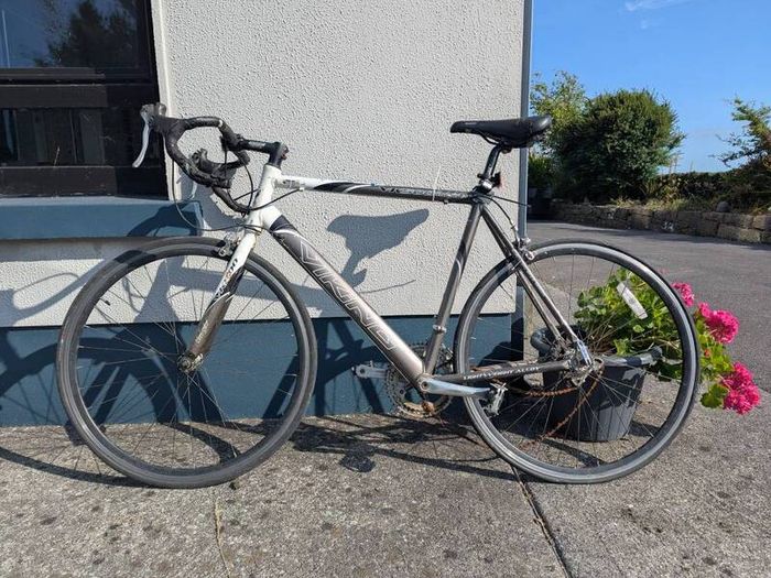 Carrera and Viking Racing bikes for repair