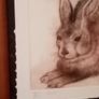 Pair of etchings Image 8