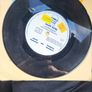 Arnold Gutbucket and Humphrey Camelfoot Mary Rose 7 inch Vinyl Bucket Records BUCK 005 Image 4