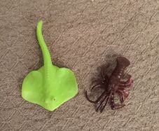 Stingray and Scorpion