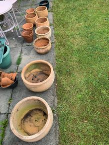 Mixed set of 11 terracotta pots