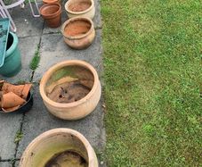 Mixed set of 11 terracotta pots