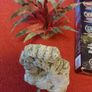 Juwel 240L fish tank Image 9