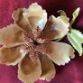 Amazing Brooch  (PRICE DROP) Image 3
