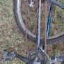 Adult bike Image 3