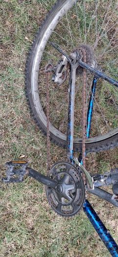 Adult bike
