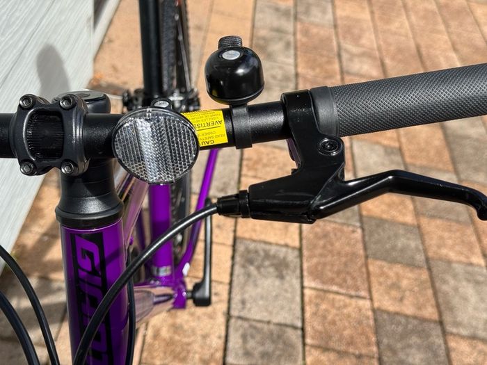 Giant ARX 24" Junior Bike - Purple